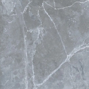 Керамический гранит Грани Таганая Petra Northern Silver рект. GRS02-16 (60х60)